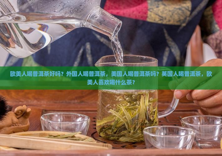 欧美人喝普洱茶