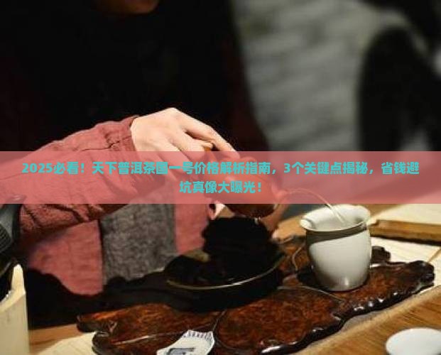 天下普洱茶国一号价格