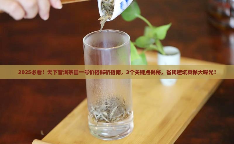 天下普洱茶国一号价格