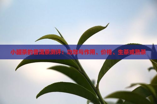小罐茶的普洱茶测评