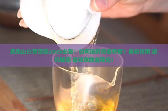 凤凰山白普洱茶
