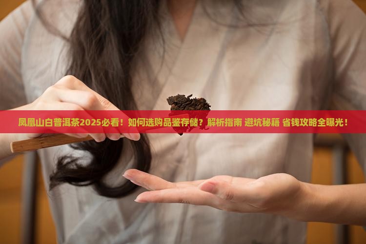凤凰山白普洱茶