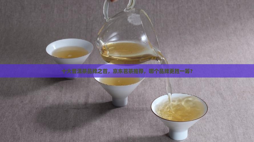 普洱茶最牛的品牌