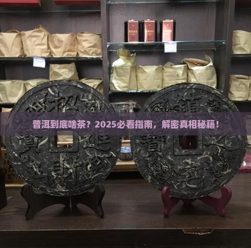 请问普洱属于什么茶