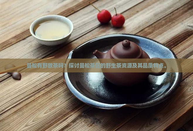 曼松有野放茶吗