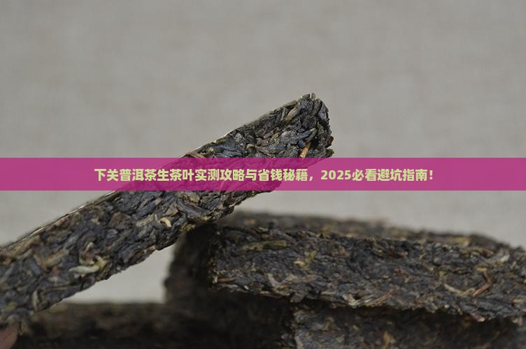 下关普洱茶生茶叶