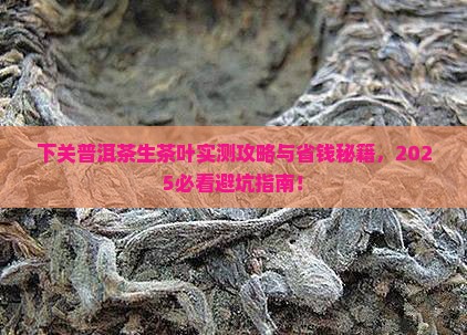 下关普洱茶生茶叶