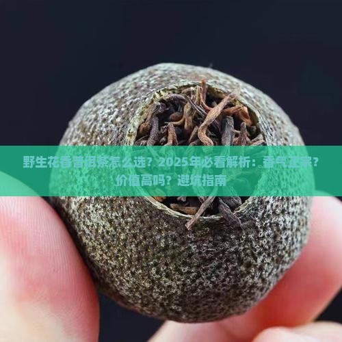 野生花香普洱茶