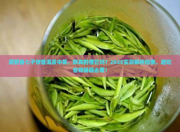 原野香七子饼普洱茶中茶