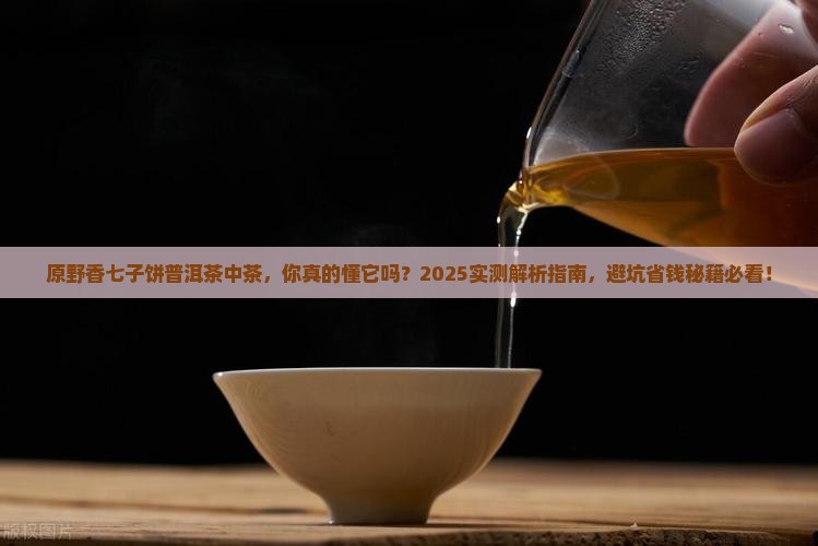 原野香七子饼普洱茶中茶