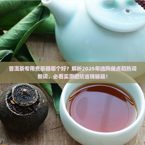 普洱茶专用煮茶器哪个好