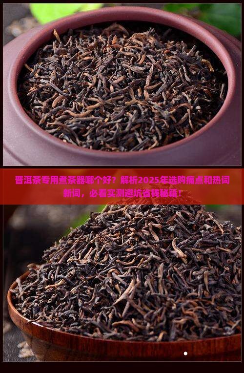 普洱茶专用煮茶器哪个好