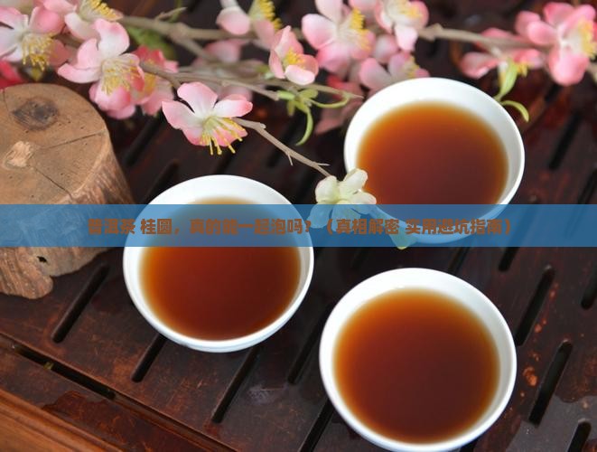 普洱茶能不能和桂圆一起泡