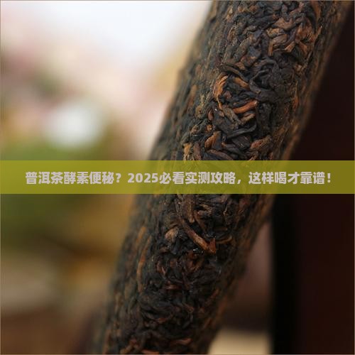 普洱茶酵素便秘