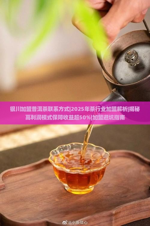 银川加盟普洱茶联系方式