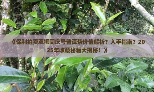 保利拍卖双狮同庆号普洱茶