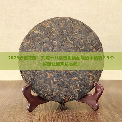 九龙十八寨普洱茶