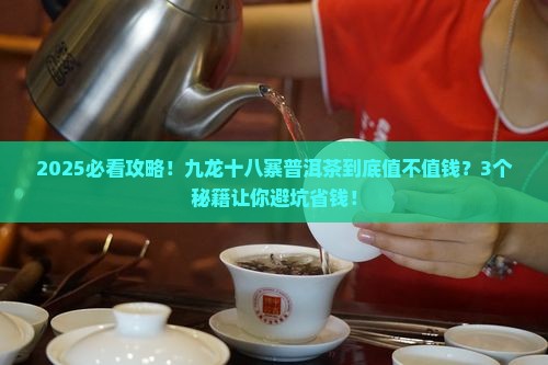 九龙十八寨普洱茶