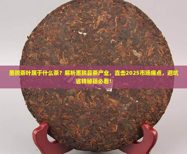 墨脱茶叶属于什么茶墨脱县茶产业