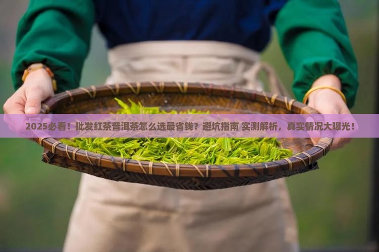 批发红茶普洱茶