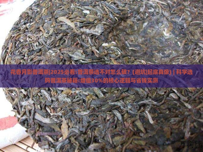 花香月影普洱茶