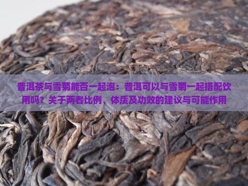 普洱茶与雪菊能否一起泡
