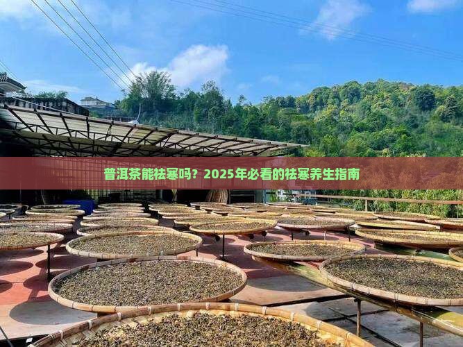 普洱茶能祛寒吗