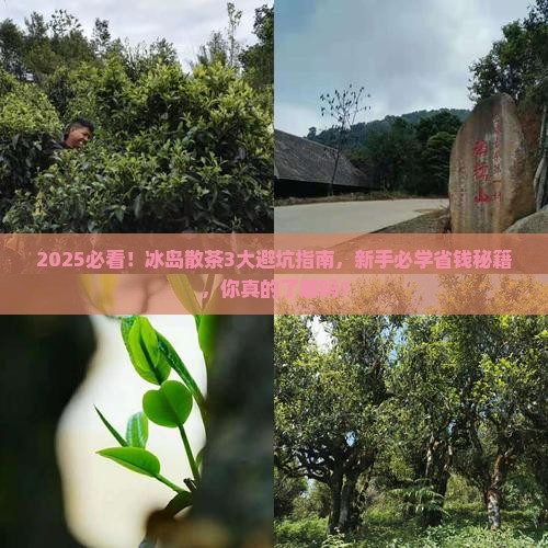 2020年冰岛散茶