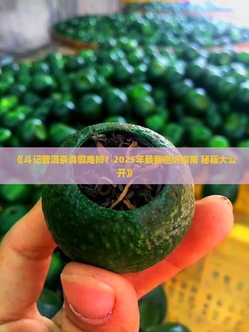 斗记普洱茶怎样查询真假