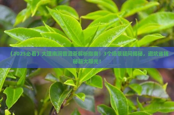 大理南涧普洱茶