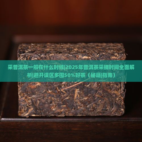 采普洱茶一般在什么时候