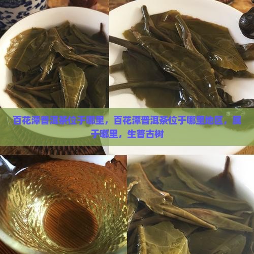 百花潭普洱茶位于哪里