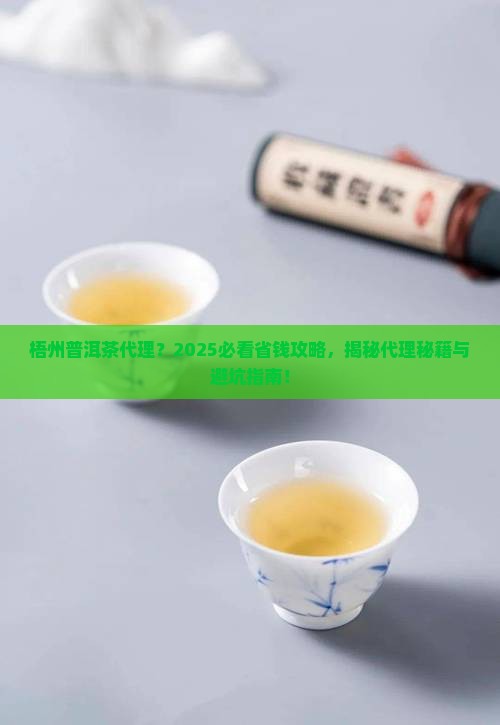 梧州普洱茶代理