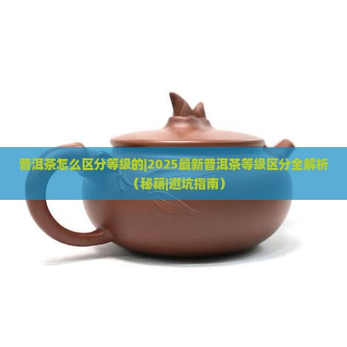 普洱茶怎么区分等级的