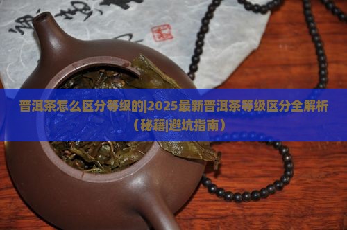 普洱茶怎么区分等级的