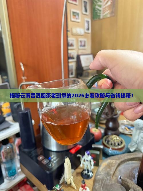 云南普洱圆茶老班章