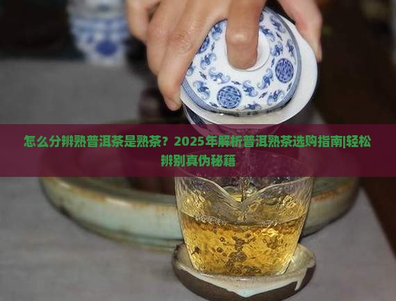 怎么分辨熟普洱茶是熟茶