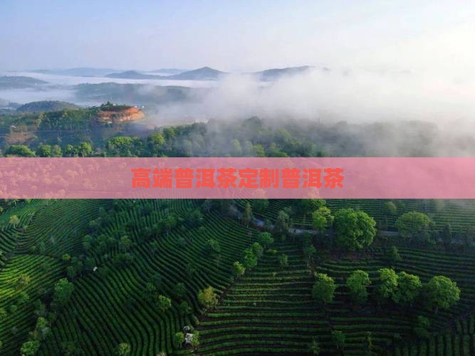 奢侈品普洱茶定制 奢侈品普洱茶定制