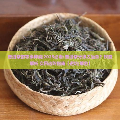 普洱茶的等级种类