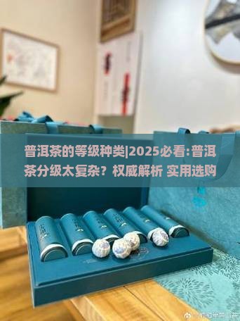 普洱茶的等级种类