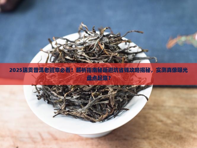 瑞贡普洱老班章