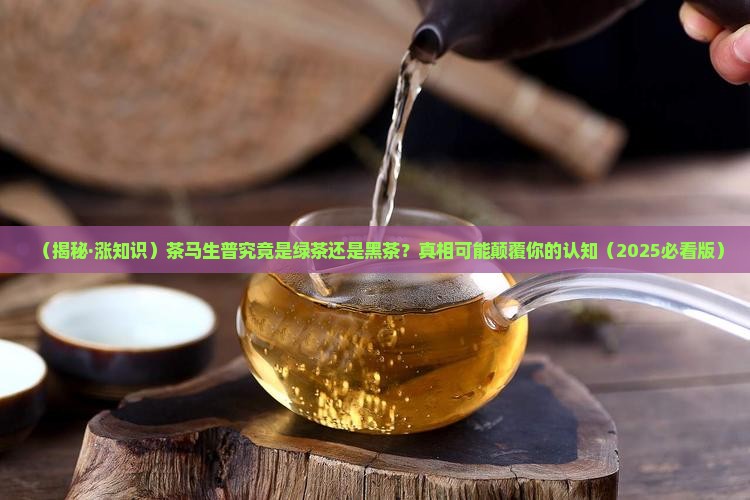 茶马生普是绿茶还是黑茶