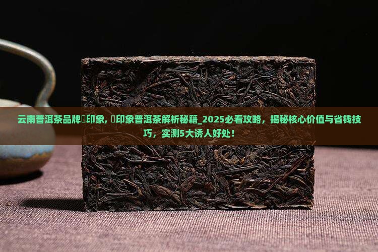 云南普洱茶品牌瑧印象 云南普洱茶品牌瑧印象