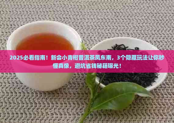 新会小青柑普洱茶凤东南