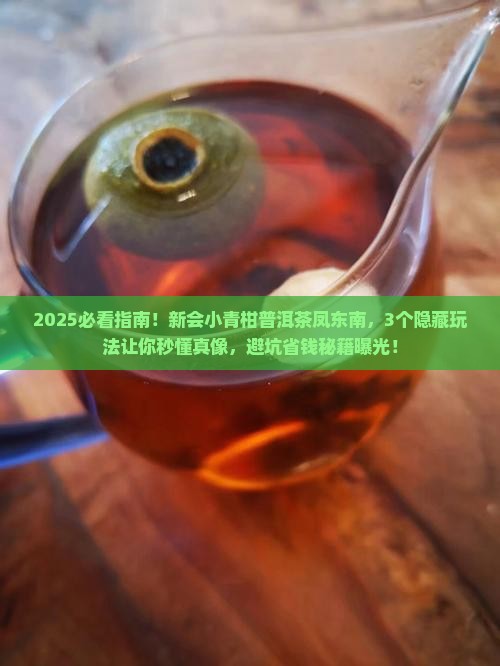 新会小青柑普洱茶凤东南