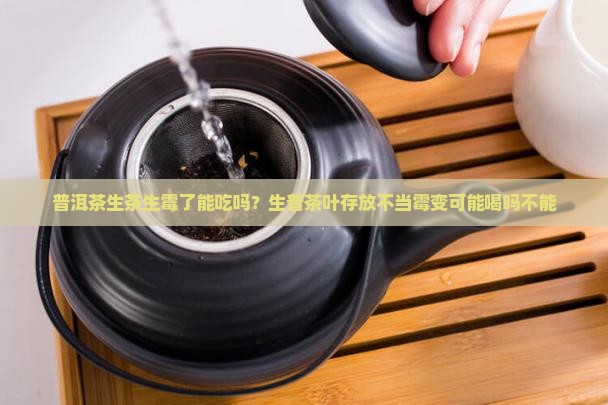 普洱茶生茶生霉了能吃吗