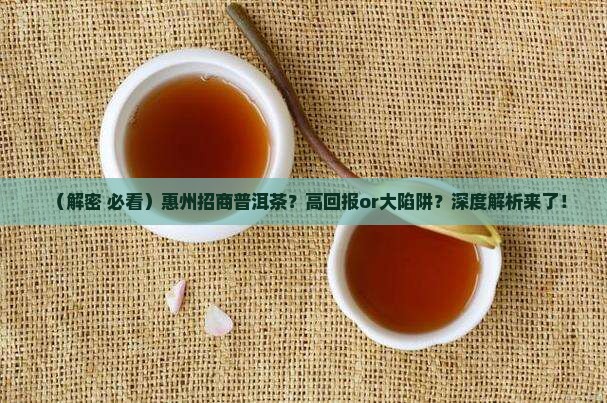 惠州高端普洱茶招商引资