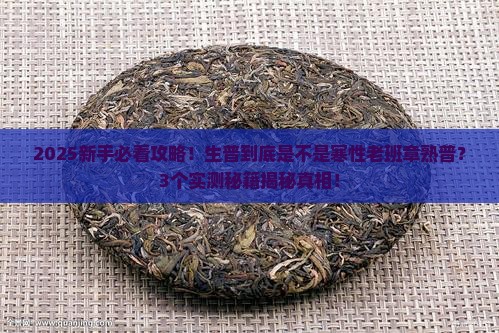 生普是不是寒性老班章熟普