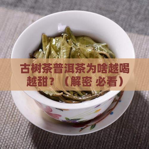 古树茶普洱茶回甜