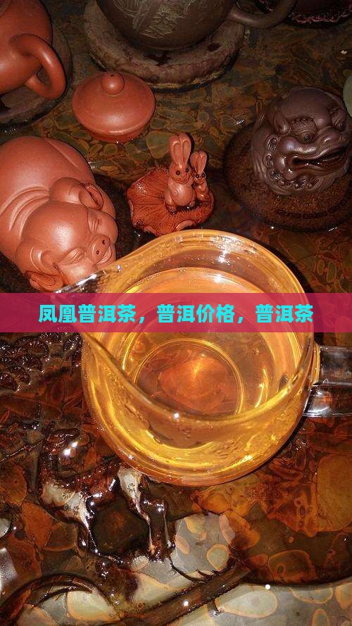 普凤凰茶叶普洱茶